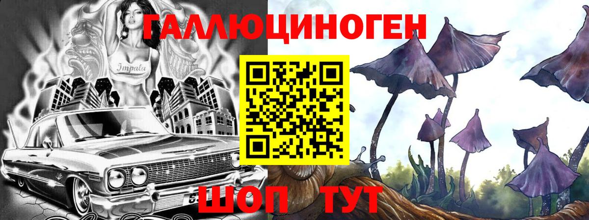 Псилоцибиновые грибы Magic Shrooms  Вход с VPN  Отрадное  Галлюциногенные грибы Psilocybine cubensis 