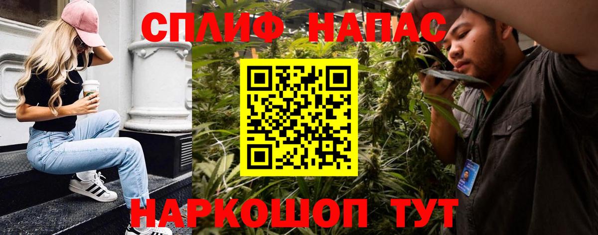 Конопля план Отрадное